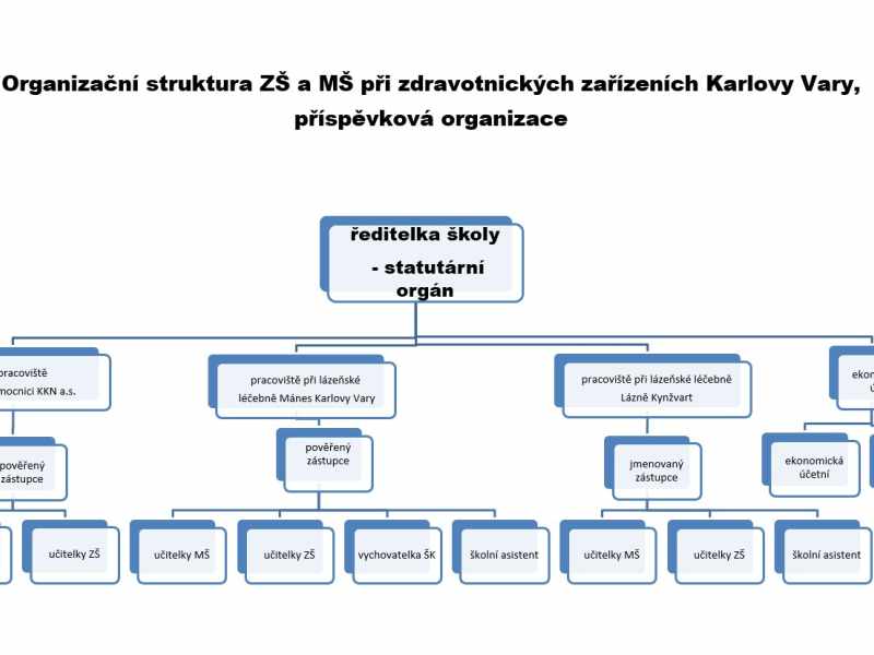 organizacni-struktura-obrazek