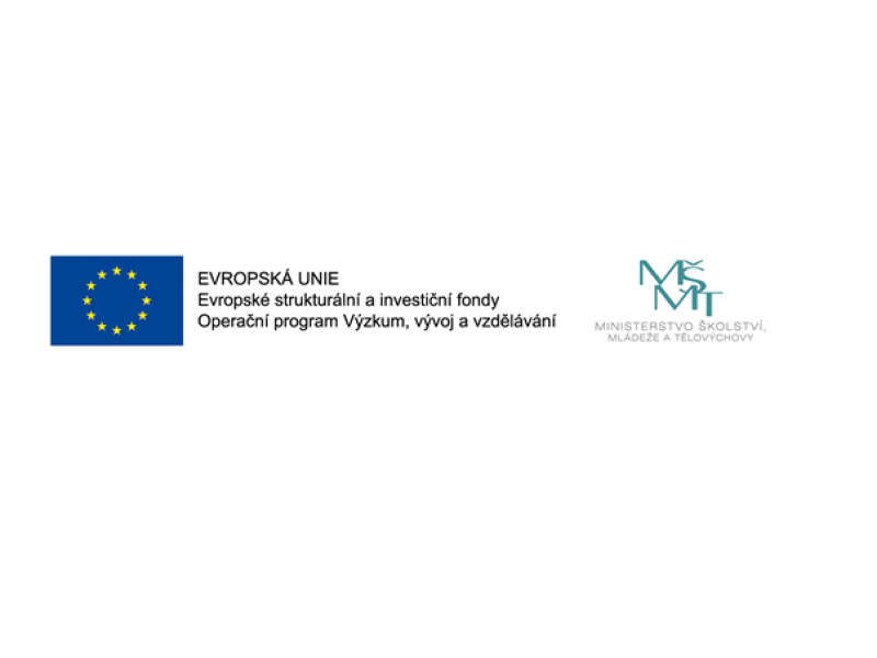 logo EU-msmt